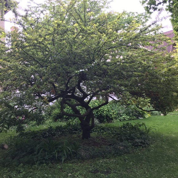 Meet your Posher, Karen - Picture 13 of 17